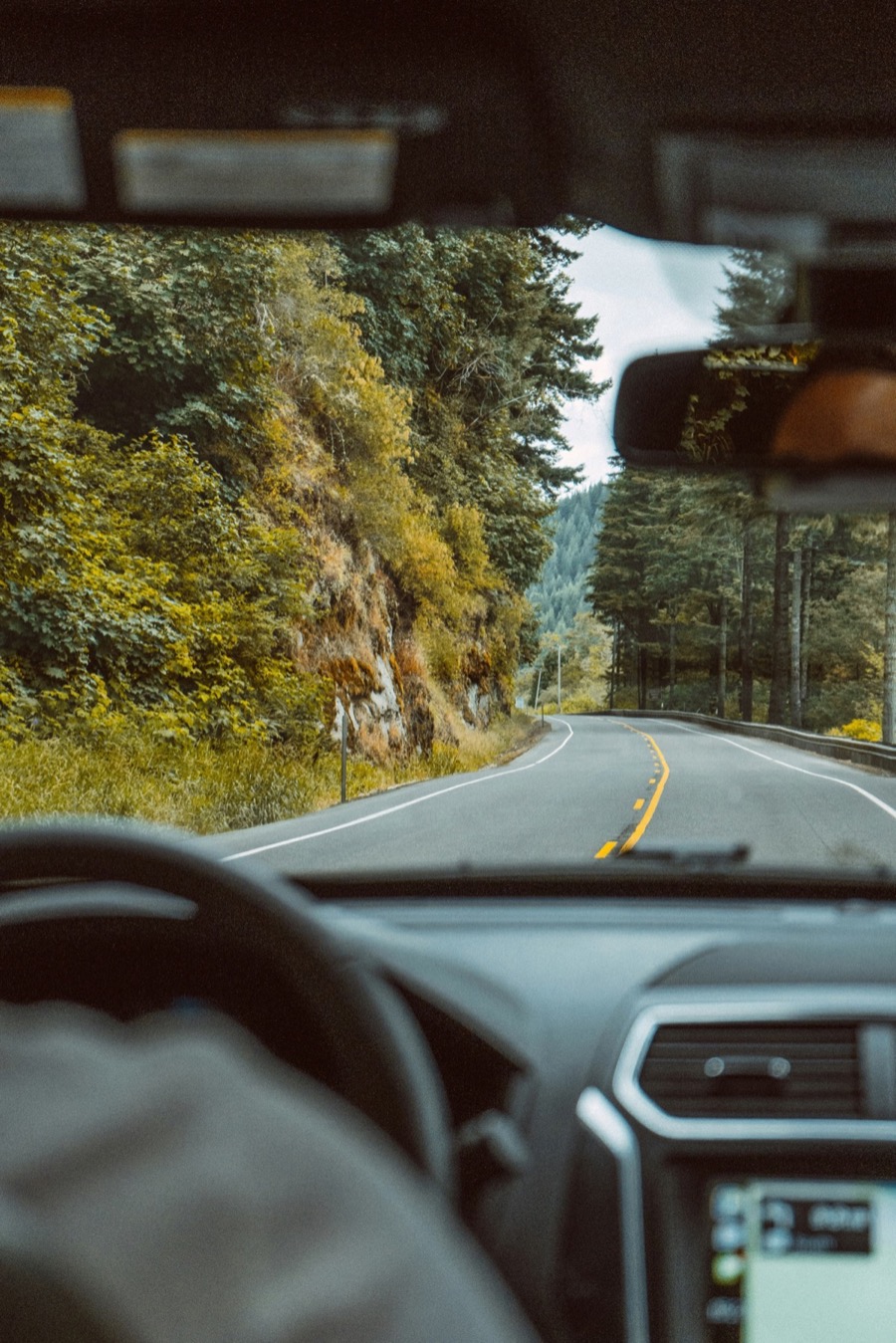 Dashboard view of a winding mountain road through dense forest